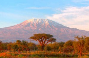 Kilimandscharo1.jpg