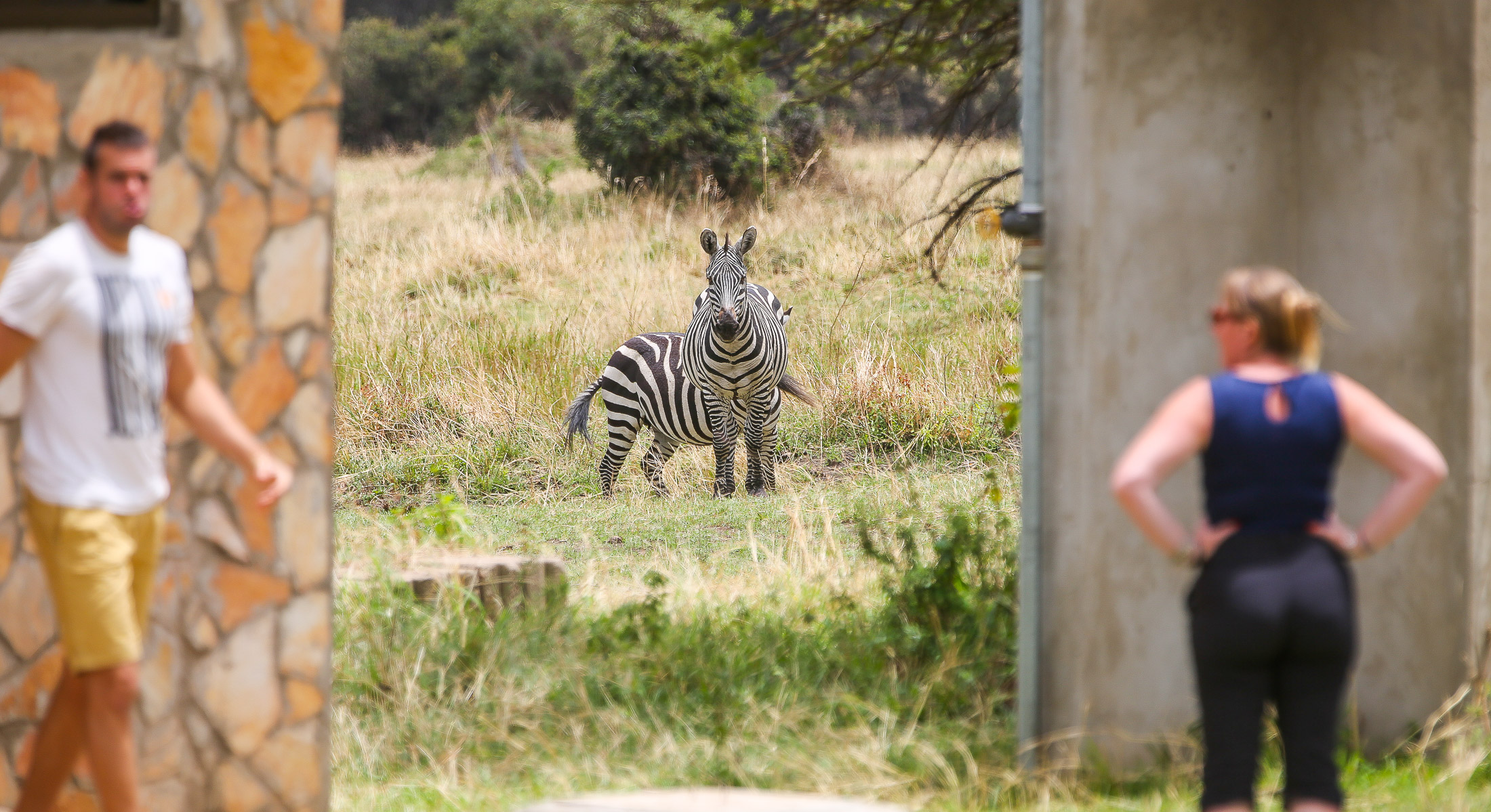 Tagesausflug zur Safari im Ngorongoro-Krater