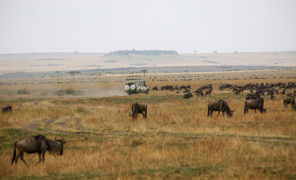 8-tägige Zeltcamp-Safari in Tansania