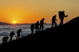 Shira Plateau Tagestour am Kilimanjaro