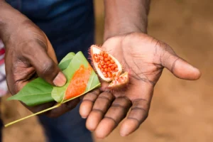 food tour in zanzibar