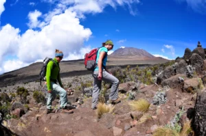 Tagestour Kilimandscharo: Marangu-Route